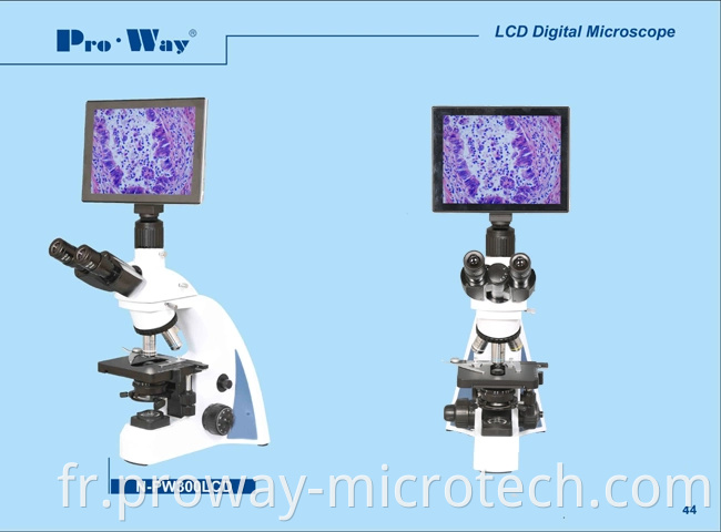 Microscope biologique d'écran numérique professionnel professionnel avec logiciel (N-PW300LCD)